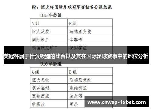 美冠杯属于什么级别的比赛以及其在国际足球赛事中的地位分析