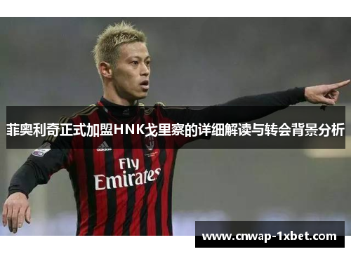 菲奥利奇正式加盟HNK戈里察的详细解读与转会背景分析 菲奥利奇正式加盟HNK戈里察的详细解读与转会背景分析