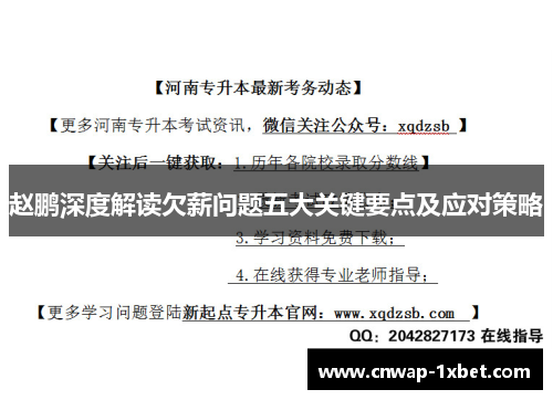 赵鹏深度解读欠薪问题五大关键要点及应对策略