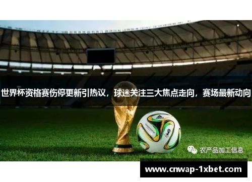 世界杯资格赛伤停更新引热议，球迷关注三大焦点走向，赛场最新动向